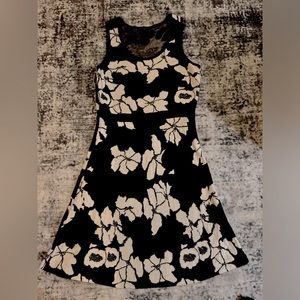 Ann Taylor Petite Fit and Flare Sweater Dress